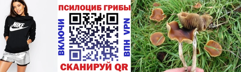 Псилоцибиновые грибы MAGIC MUSHROOMS  hydra tor  Карабулак 